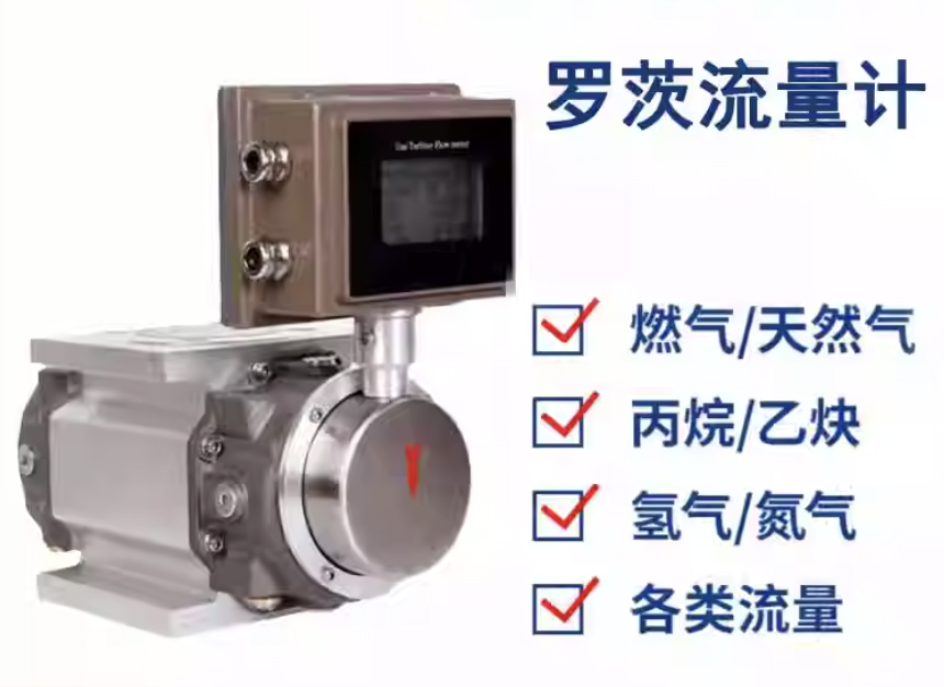 燃氣羅茨流量計