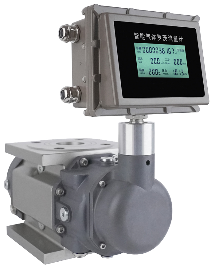 DN65氣體羅茨流量計(jì)產(chǎn)品圖片